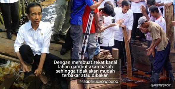 Presiden Joko Widodo merayakan babak baru penyelamatan hutan Indonesia